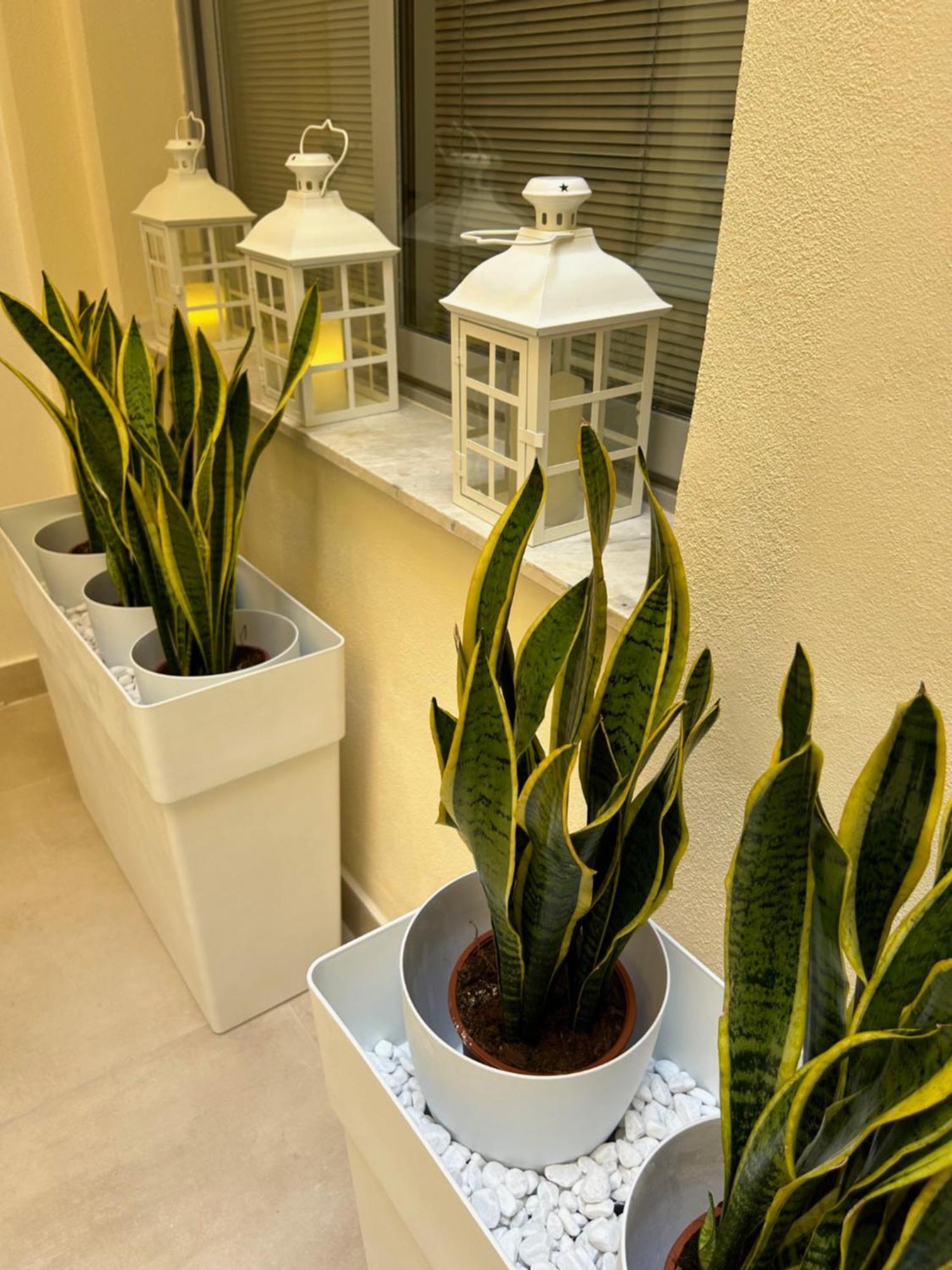 Casa Lounge Costituzione Hotel Cagliari Bagian luar foto